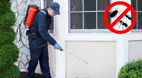Evciler Kene İlaçlama böcek ilaçlama ve haşere kontrolü — ilaclama-tr.com